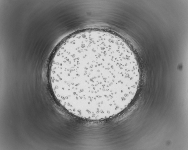 X0000116620830201001221338