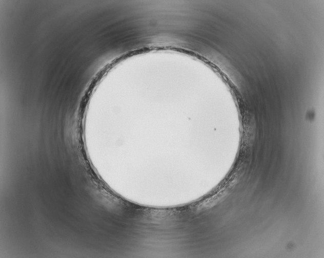 X0000116620832201001221338