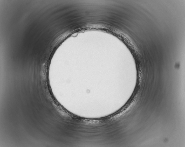 X0000116620833201001221338