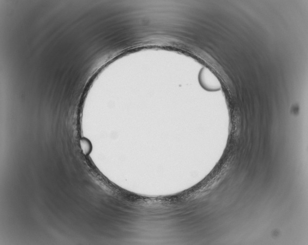 X0000116620834201001221338
