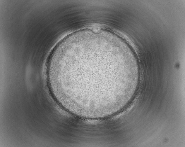 X0000116620835201001221338