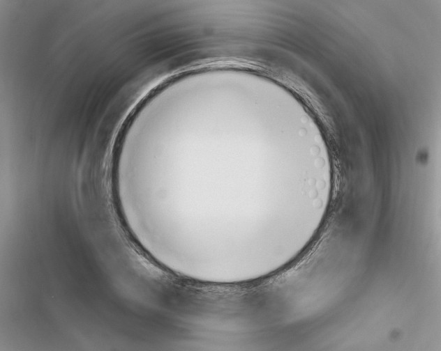 X0000116620836201001221338