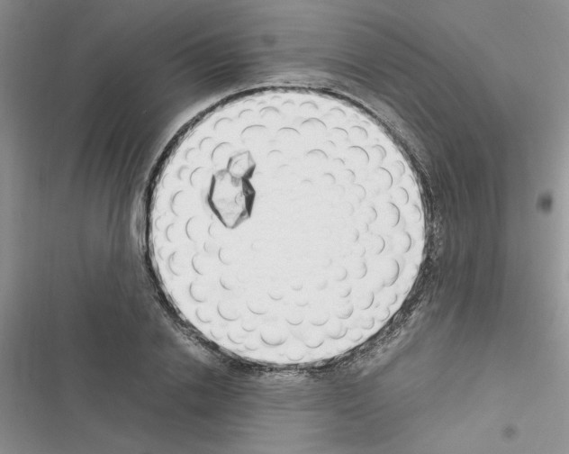 X0000116620838201001221338