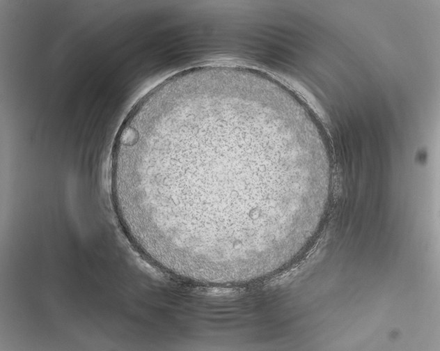 X0000116620839201001221338