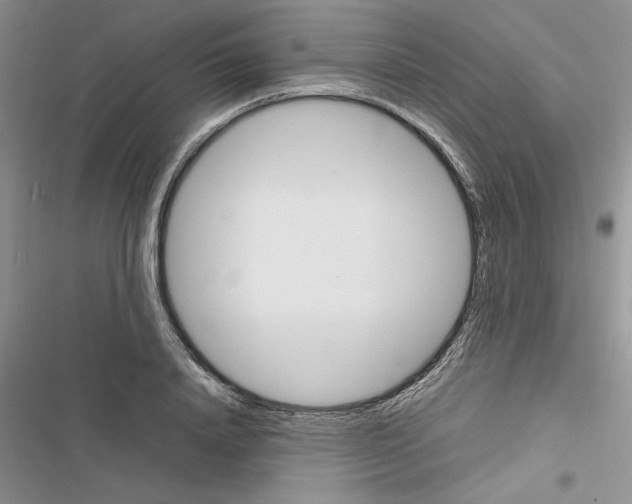 X0000116620840201001221338
