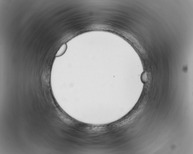 X0000116620841201001221338