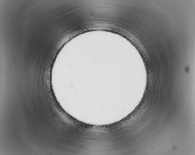 X0000116620842201001221338
