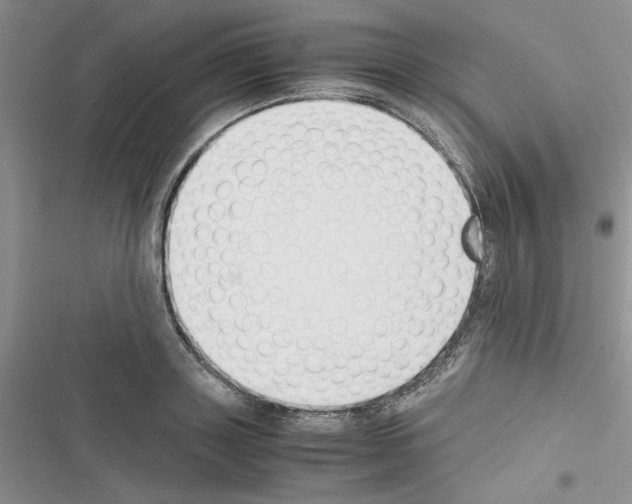 X0000116620843201001221338