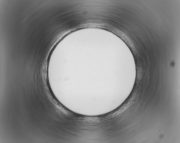 X0000116620844201001221338