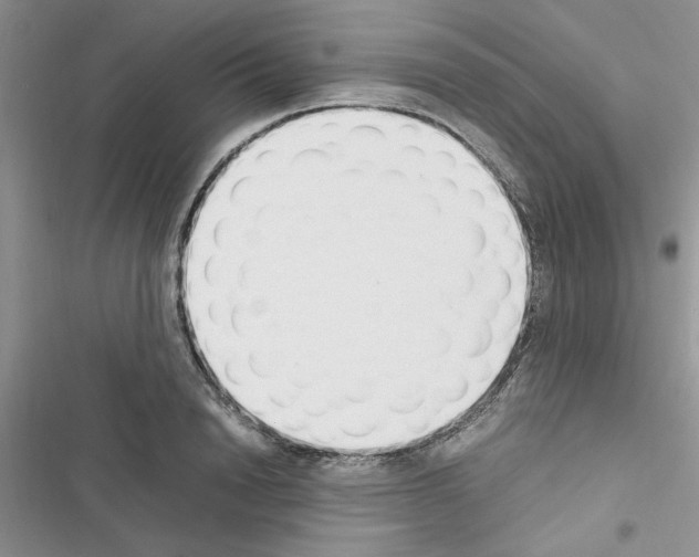 X0000116620846201001221338