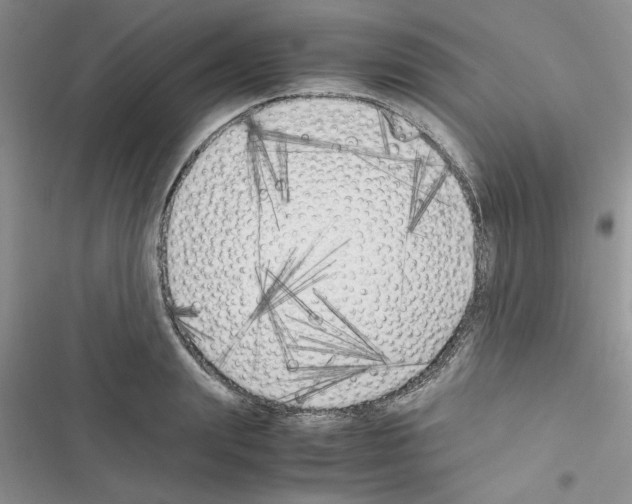 X0000116620847201001221338