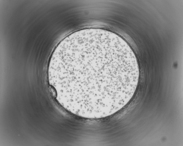 X0000116620850201001221338