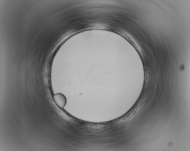 X0000116620851201001221338