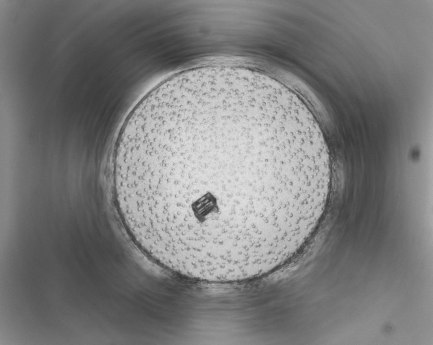 X0000116620852201001221338