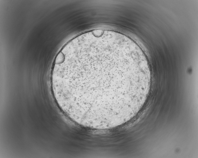 X0000116620853201001221338