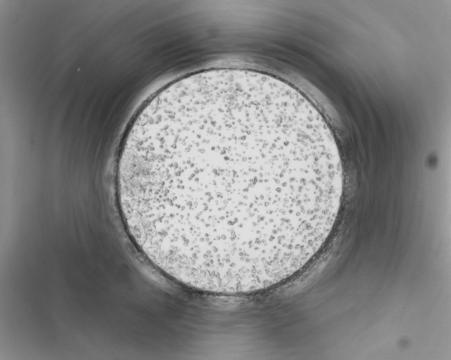 X0000116620854201001221338