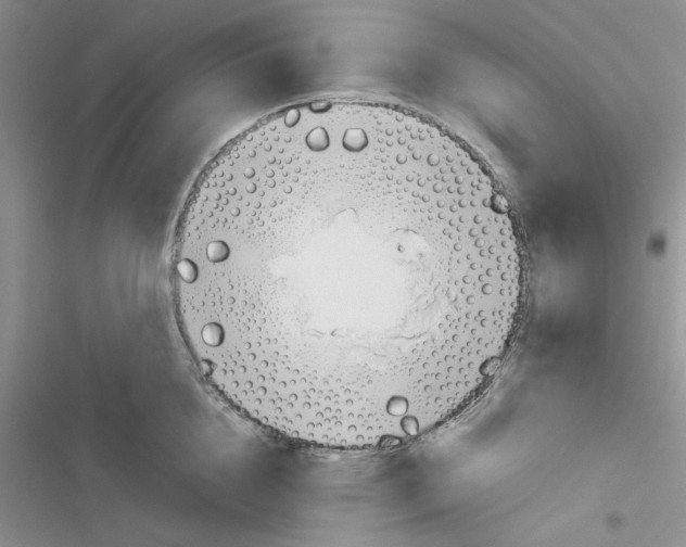X0000116620856201001221338