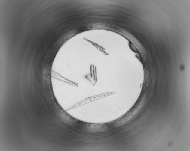 X0000116620857201001221338