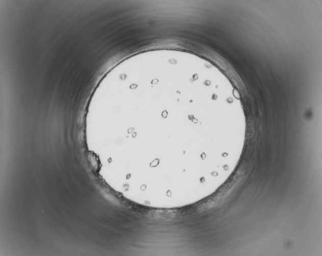 X0000116620858201001221338