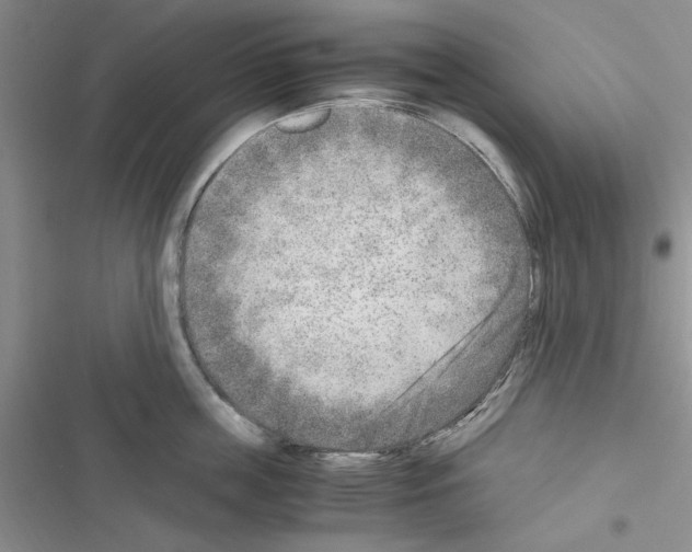 X0000116620859201001221338