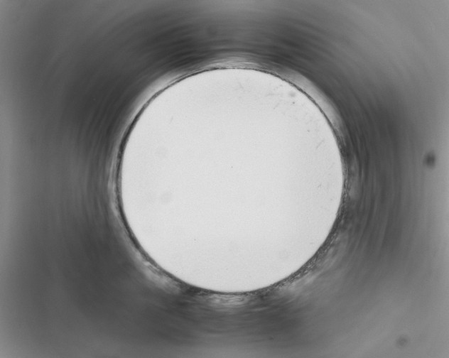 X0000116620861201001221338