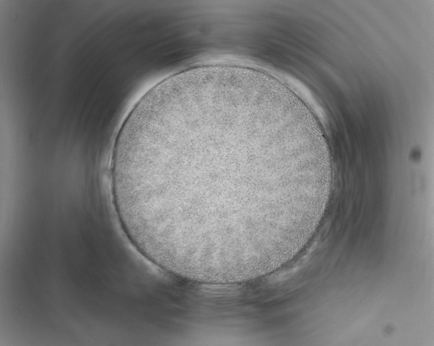 X0000116620863201001221338