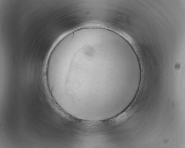 X0000116620864201001221338