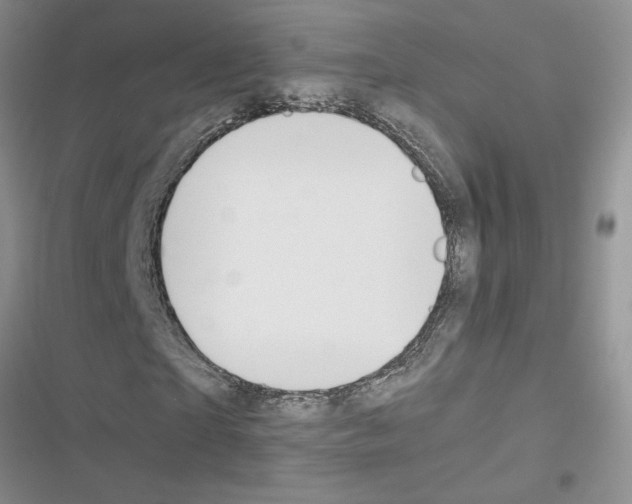 X0000116620865201001221338