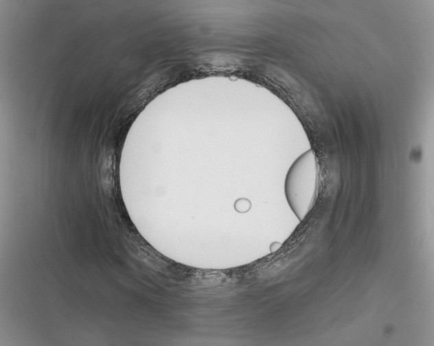 X0000116620866201001221338