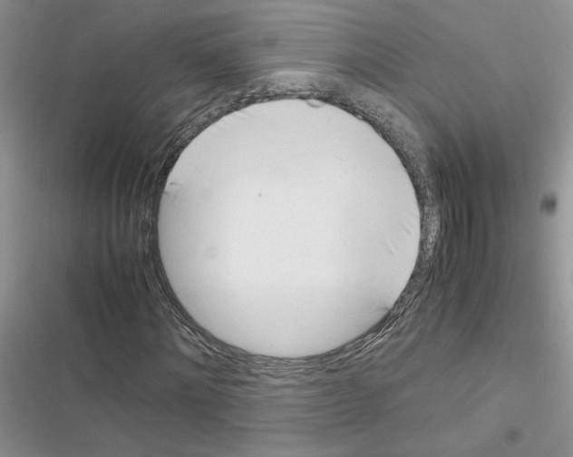 X0000116620868201001221338