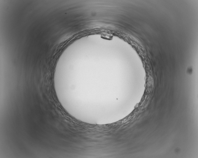 X0000116620869201001221338