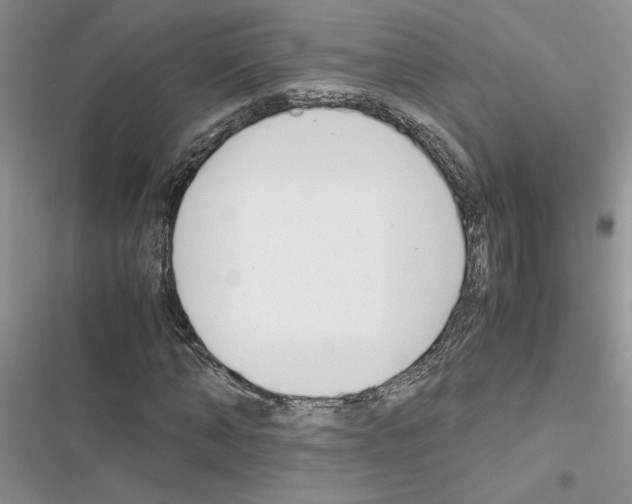 X0000116620870201001221338