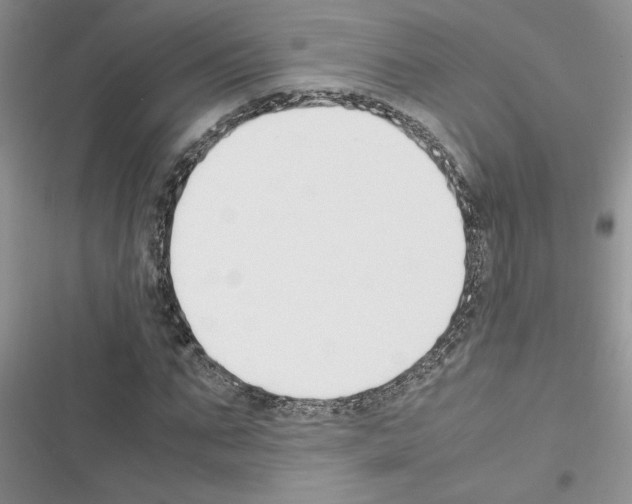 X0000116620871201001221338