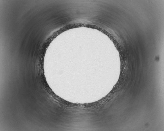 X0000116620872201001221338