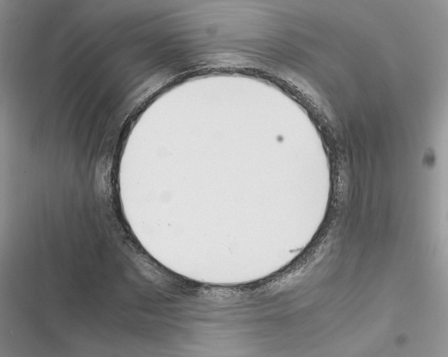 X0000116620873201001221338
