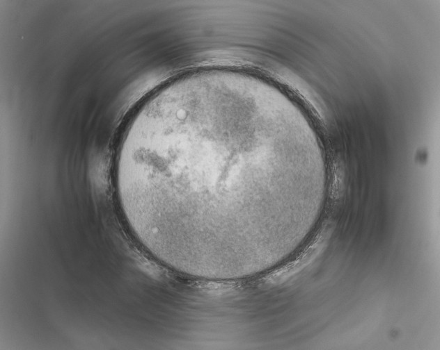 X0000116620874201001221337