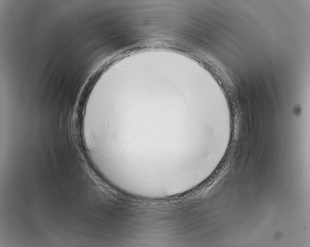 X0000116620876201001221337