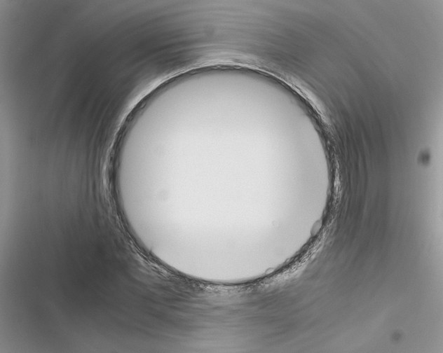 X0000116620877201001221337