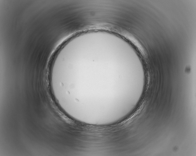 X0000116620878201001221337