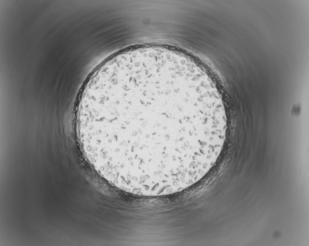 X0000116620879201001221337