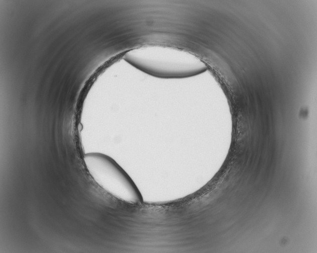 X0000116620880201001221337