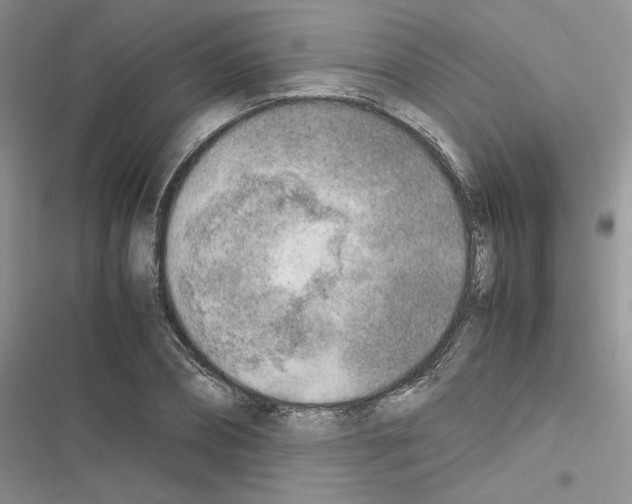 X0000116620882201001221337