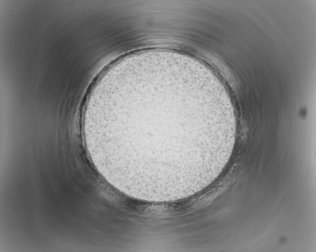 X0000116620883201001221337