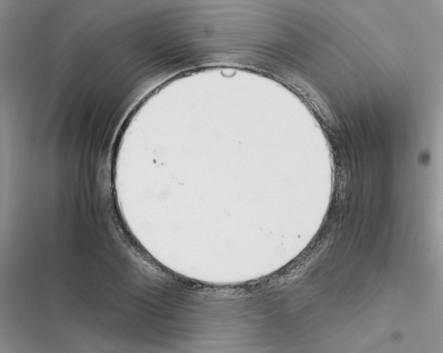 X0000116620884201001221337