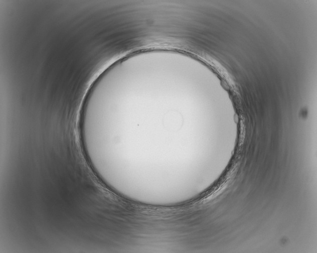 X0000116620885201001221337