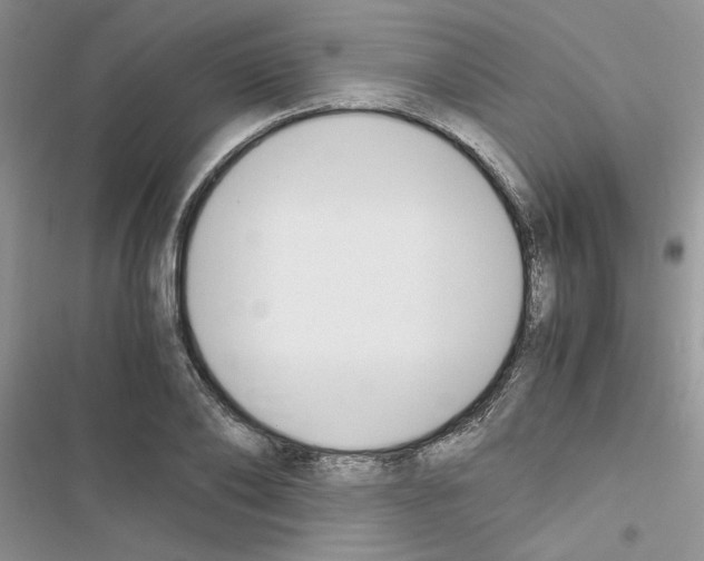 X0000116620886201001221337