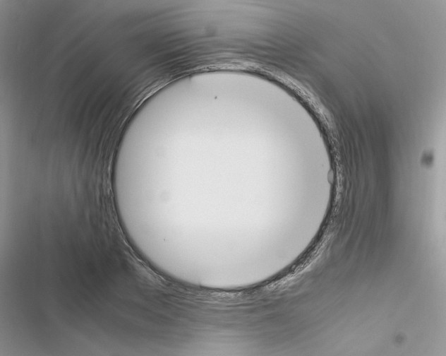 X0000116620889201001221337