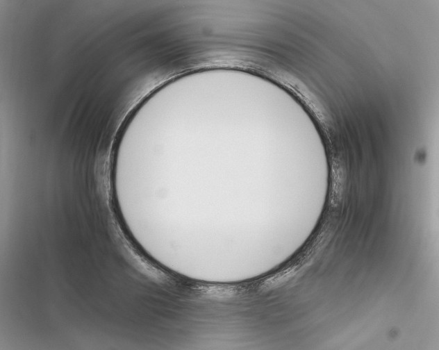 X0000116620890201001221337