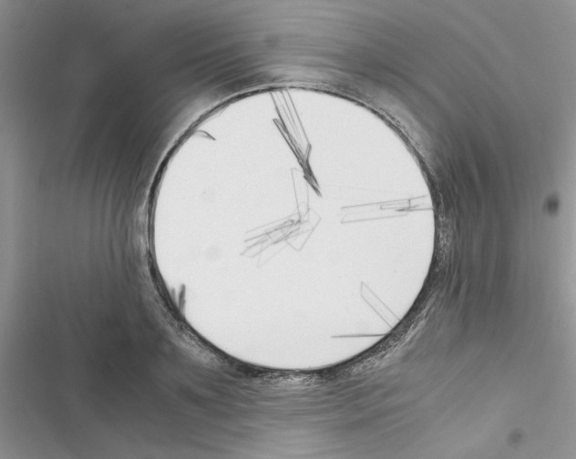 X0000116620891201001221337