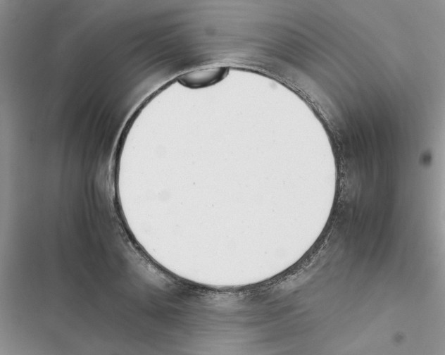 X0000116620892201001221337
